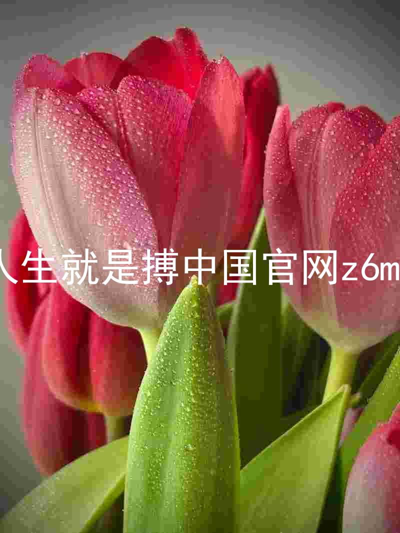 人生就是搏中国官网z6mg