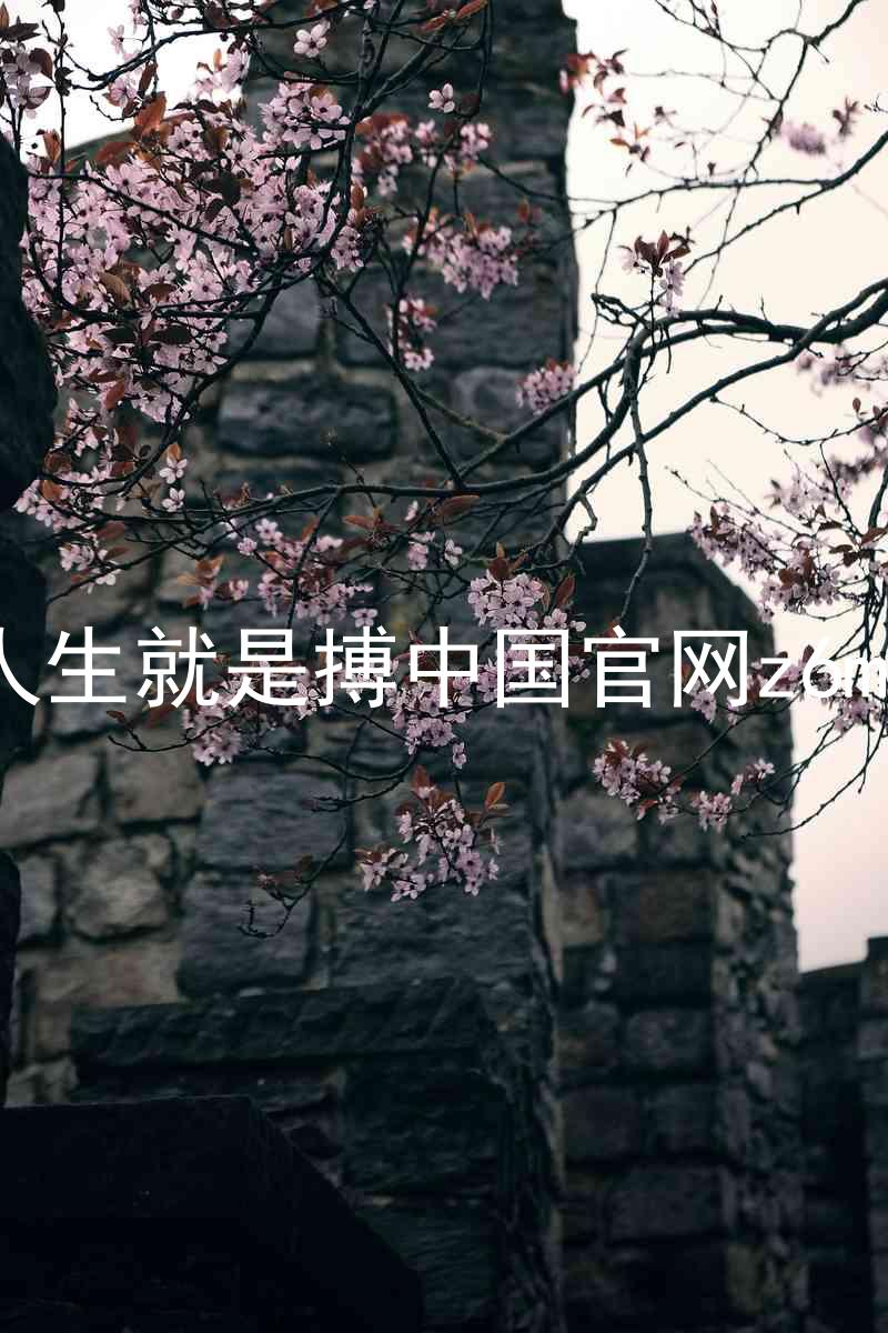人生就是搏中国官网z6mg